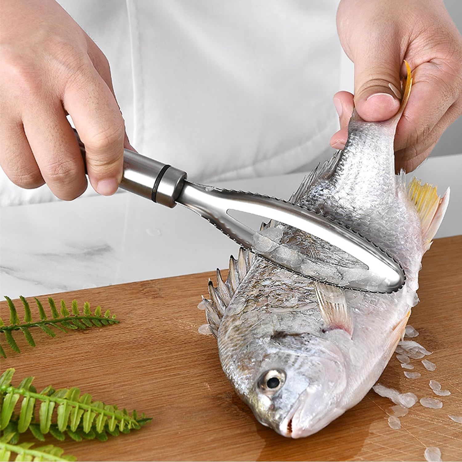 Fish Scaler Tool, Stainless Steel Fish Scaler Remover Fish Scraper ScaDobaDealsexpress.shopFish Scaler Tool, Stainless Steel Fish Scaler Remover Fish Scraper ScalerSpecification
Feature:With Handle, Durable, Reusable
Material:Stainless Steel
Details
This Fish Scaler Tool is a must-have for seafood lovers who enjoy cooking fresh