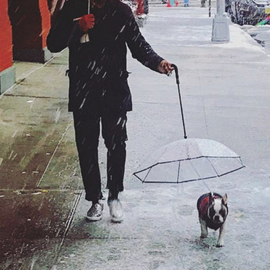 Pet Umbrella, Dog Umbrella with Leash Snow-Proof Rain Proof Windproof DobaDealsexpress.shopPet Umbrella, Dog UmbrellaHighlights
Daily walking is necessary for your dogs, but hard in rainy days. our dog umbrella will cover your dog walk as in the sunny day, keep them dry and comfort