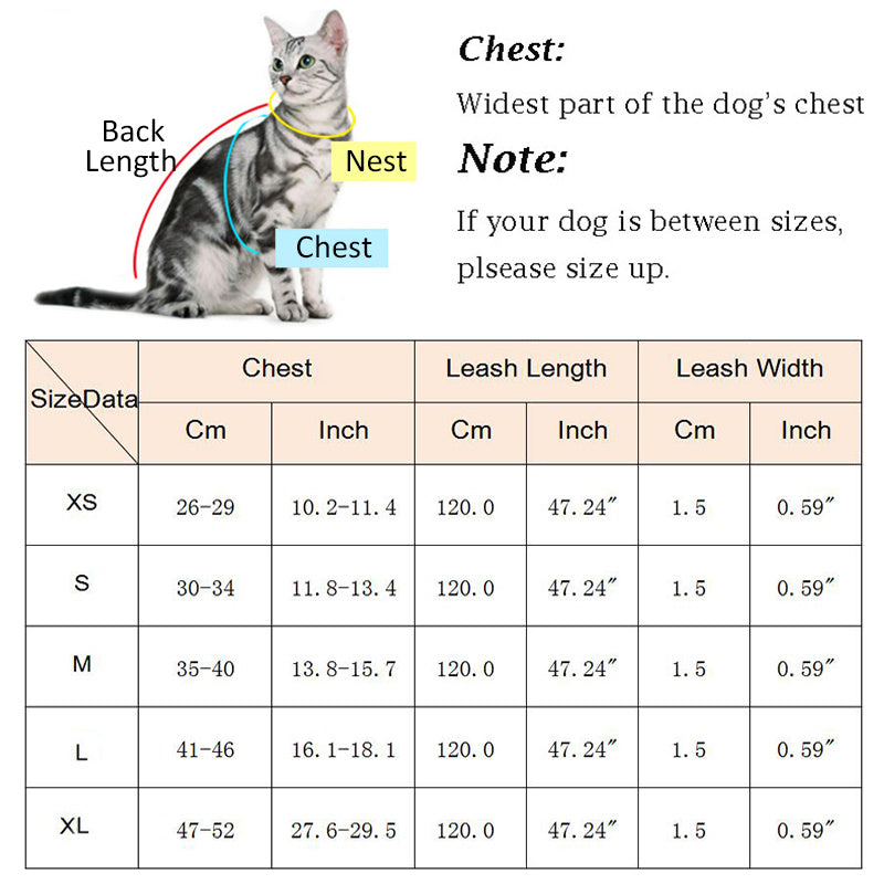 Fashion Plaid Cat Harnesses for Cats Mesh Pet Harness and Leash Set KaDobaDealsexpress.shopLeash Set Katten Kitty Mascotas ProductsDetails




 


 
[ATTENTION]- This pink step-in air mesh pet harness &amp; leash set is suit for extra small breeds dog or cat. Please measure your pet neck and che