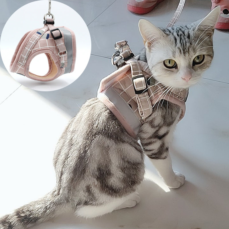 Fashion Plaid Cat Harnesses for Cats Mesh Pet Harness and Leash Set KaDobaDealsexpress.shopLeash Set Katten Kitty Mascotas ProductsDetails




 


 
[ATTENTION]- This pink step-in air mesh pet harness &amp; leash set is suit for extra small breeds dog or cat. Please measure your pet neck and che