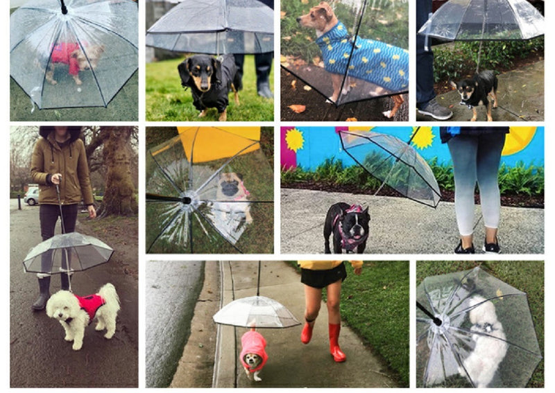 Pet Umbrella, Dog Umbrella with Leash Snow-Proof Rain Proof Windproof DobaDealsexpress.shopPet Umbrella, Dog UmbrellaHighlights
Daily walking is necessary for your dogs, but hard in rainy days. our dog umbrella will cover your dog walk as in the sunny day, keep them dry and comfort