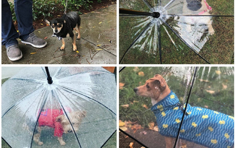 Pet Umbrella, Dog Umbrella with Leash Snow-Proof Rain Proof Windproof DobaDealsexpress.shopPet Umbrella, Dog UmbrellaHighlights
Daily walking is necessary for your dogs, but hard in rainy days. our dog umbrella will cover your dog walk as in the sunny day, keep them dry and comfort